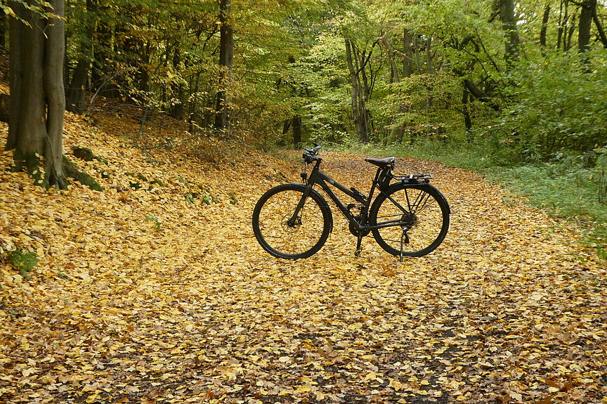 Radfahren im Herbst Radfahren im Herbst