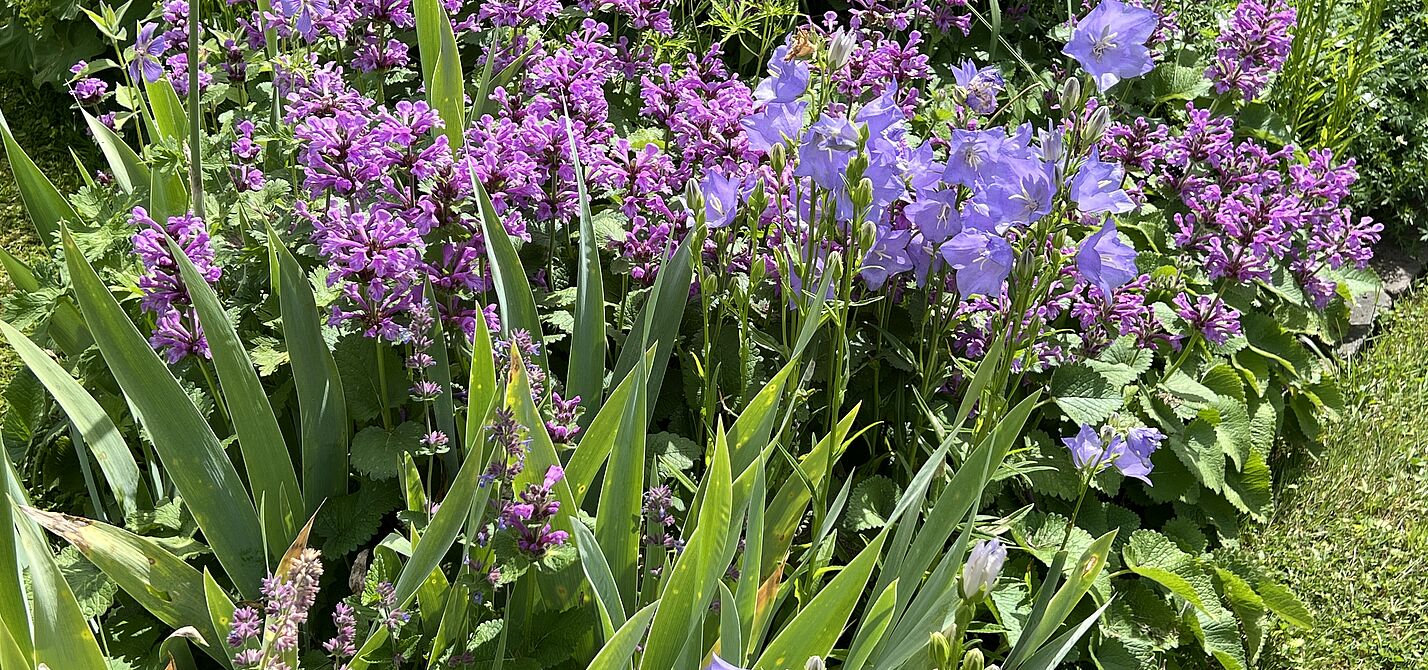 ADFC Tour_Zum Garten Pristin (4) Im Garten Pristin (4)