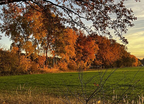 Herbstzauber auf dem Weg nach Metel