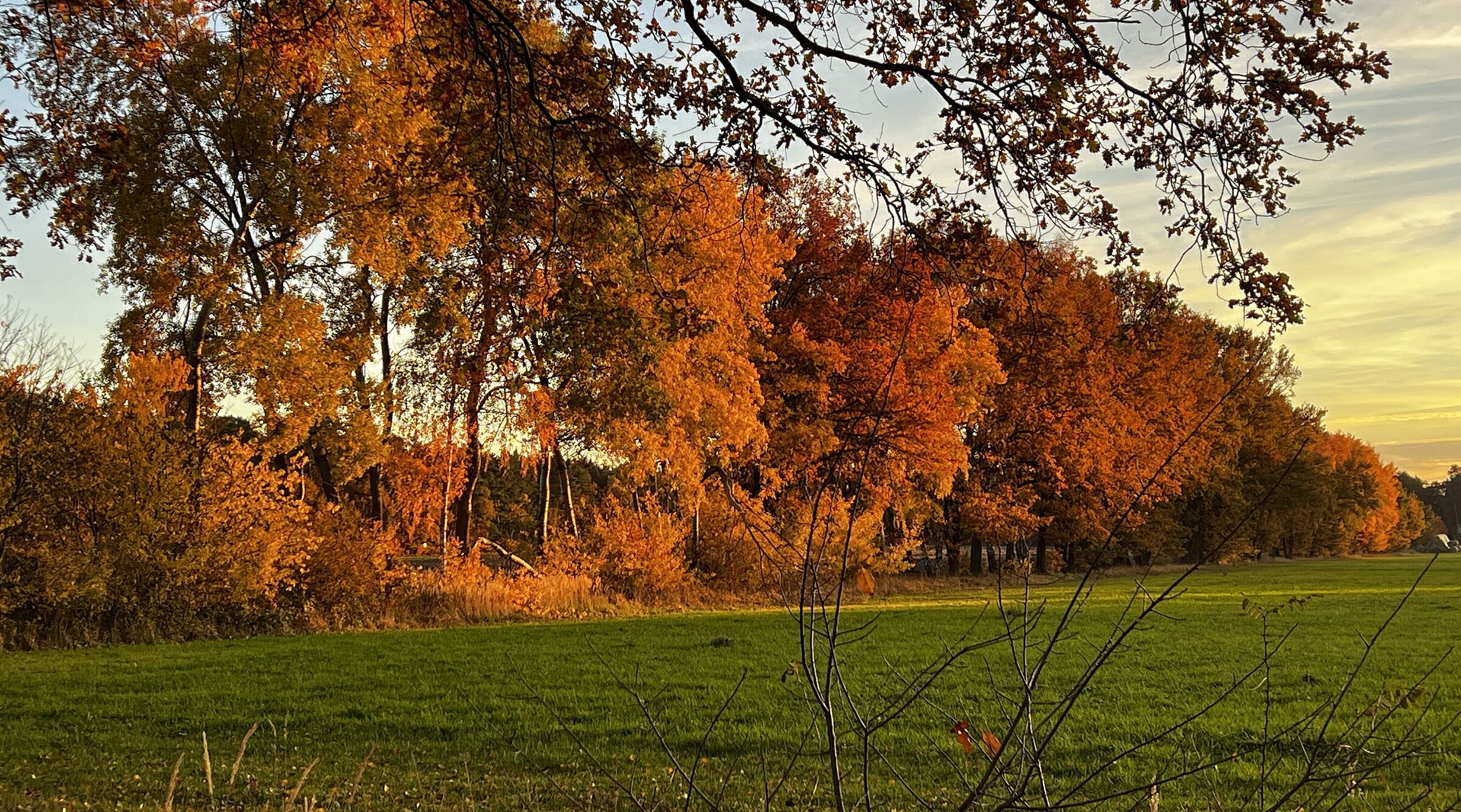 Herbstzauber auf dem Weg nach Metel