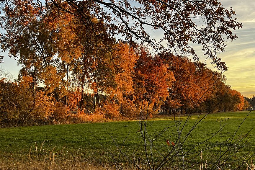 Herbstzauber auf dem Weg nach Metel Herbstzauber auf dem Weg nach Metel